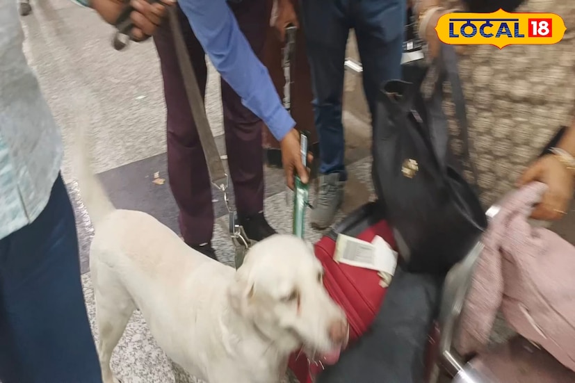 সন্ধ্যায় দিল্লির বিস্ফোরণের ঘটনা ঘটতেই রেড অ্যালার্ট দেশের গুরুত্বপূর্ণ শহরে। সেই সঙ্গে নিরাপত্তা জোরদার করা হয় হাওড়া রেল স্টেশনে। রেল স্টেশনে প্লাটফর্মে স্ক্যানার মেশিন কুকুর সহ নজরদারি। সেইসঙ্গে প্লাটফর্মে নিরাপত্তা বাহিনী আরও সক্রিয় ভূমিকা পালন করছে।