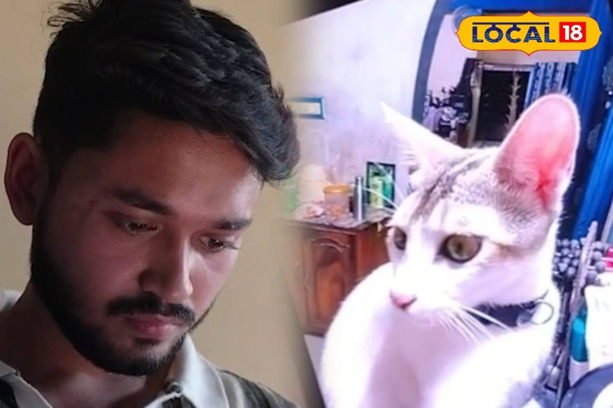 সবাইকে কাঁদিয়ে চলে গেল 'ফ্লোরা', প্রিয় বিড়ালছানার মৃত্যুতে অভিযোগ দায়ের থানায়