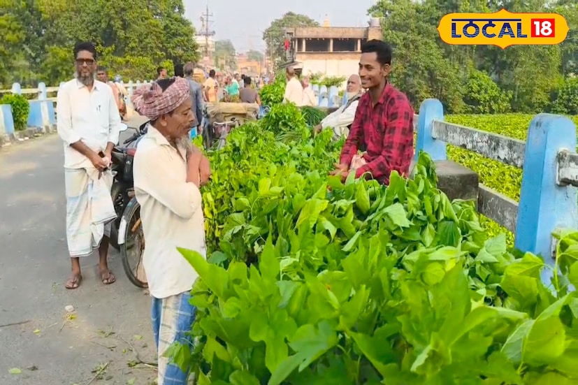 রেশম চাষের অন্যতম প্রধান সমস্যা হচ্ছে উৎপাদনের তুলনায় বাজারে ন্যায্য দাম না পাওয়া। চাষিরা জানাচ্ছেন, পলু পালনে প্রচুর পরিশ্রম ও যত্নের প্রয়োজন, কিন্তু বিনিময়ে উপযুক্ত লাভ না পাওয়ায় ধীরে ধীরে চাষিরা মুখ ফিরিয়ে নিচ্ছেন এই রেশম চাষ থেকে।