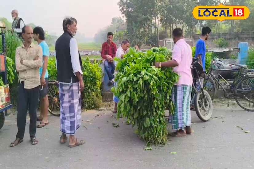 তুঁতপাতা বোঝাই করে বিক্রি হচ্ছে অল্প দরে। গরু ও ছাগল পালনকারীরাই এখন এই পাতার প্রধান ক্রেতা। একসময় সমগ্র রাজ্যে মালদহ জেলা রেশম চাষের জন্য বিখ্যাত ছিল। 'রেশমের মালদহ' নামেই পরিচিত ছিল এই জেলা। কালিয়াচকের তিনটি ব্লক ছিল রেশম চাষের মূল কেন্দ্র। এছাড়াও গাজোল, চাঁচল, হরিশ্চন্দ্রপুর ইত্যাদি ব্লক এলাকায় ব্যাপক পরিমাণে দেখা মিলত রেশম চাষ।