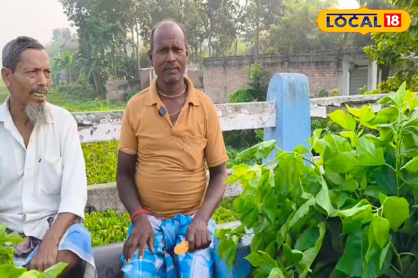 স্থানীয় চাষি নুরজাহান শেখ বলেন, “একসময় বছরে চারবার পলু পালন করতাম। এখন আর সেই উৎসাহ নেই। রেশম গুটির দাম পাই না, খরচ বেশি তাই বাধ্য হয়ে তুঁতপাতা গরুর খাবার হিসেবে বিক্রি করি।”