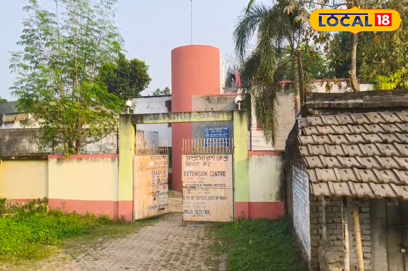 তবে এখনও কিছু মানুষ আছেন যারা পূর্বপুরুষের এই ঐতিহ্য ধরে রাখতে মরিয়া। তাদেরই প্রচেষ্টায় এখনও কিছু ঘরে পলু পালন হয়, কিছু তুঁতগাছ এখনও সবুজ হয়ে আছে স্মৃতির মতো। তাঁরা আশাবাদী যদি সরকারি উদ্যোগ ও প্রণোদনা পাওয়া যায়, তাহলে আবারও মালদহ জেলার সেই পুরনো ঐতিহ্য ‘রেশম চাষ’ ফিরিয়ে আনা সম্ভব। (ছবি ও তথ্য: জিএম মোমিন)