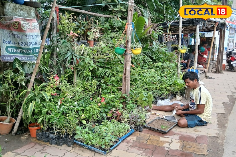 এখানে এলে মন জুড়িয়ে যাবে।ছোট্ট চারা গাছ থেকে শুরু করে মহীরুহের প্রতিচ্ছবি বনসাই, সবই পাবেন এখানে।আপনার বারান্দার কোণের জন্য যেমন মিলবে এক চিলতে সবুজের ছোঁয়া, তেমনই আপনার বাগানকে সাজিয়ে তোলার জন্য পেয়ে যাবেন অসংখ্য বিকল্প।৬ টাকা থেকে ১৫০০ টাকা পর্যন্ত গাছ পেয়ে যাবেন।