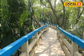 কলকাতার কাছেই হারিয়ে যান ম্যানগ্রোভ জঙ্গলে! ঘরের কাছেই সপ্তাহান্তে সেরা ছুটির ঠিকানা