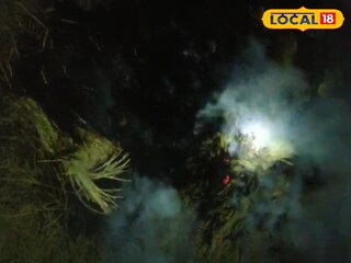 আগুনে ক্ষতিগ্রস্ত ধানের গাদা 