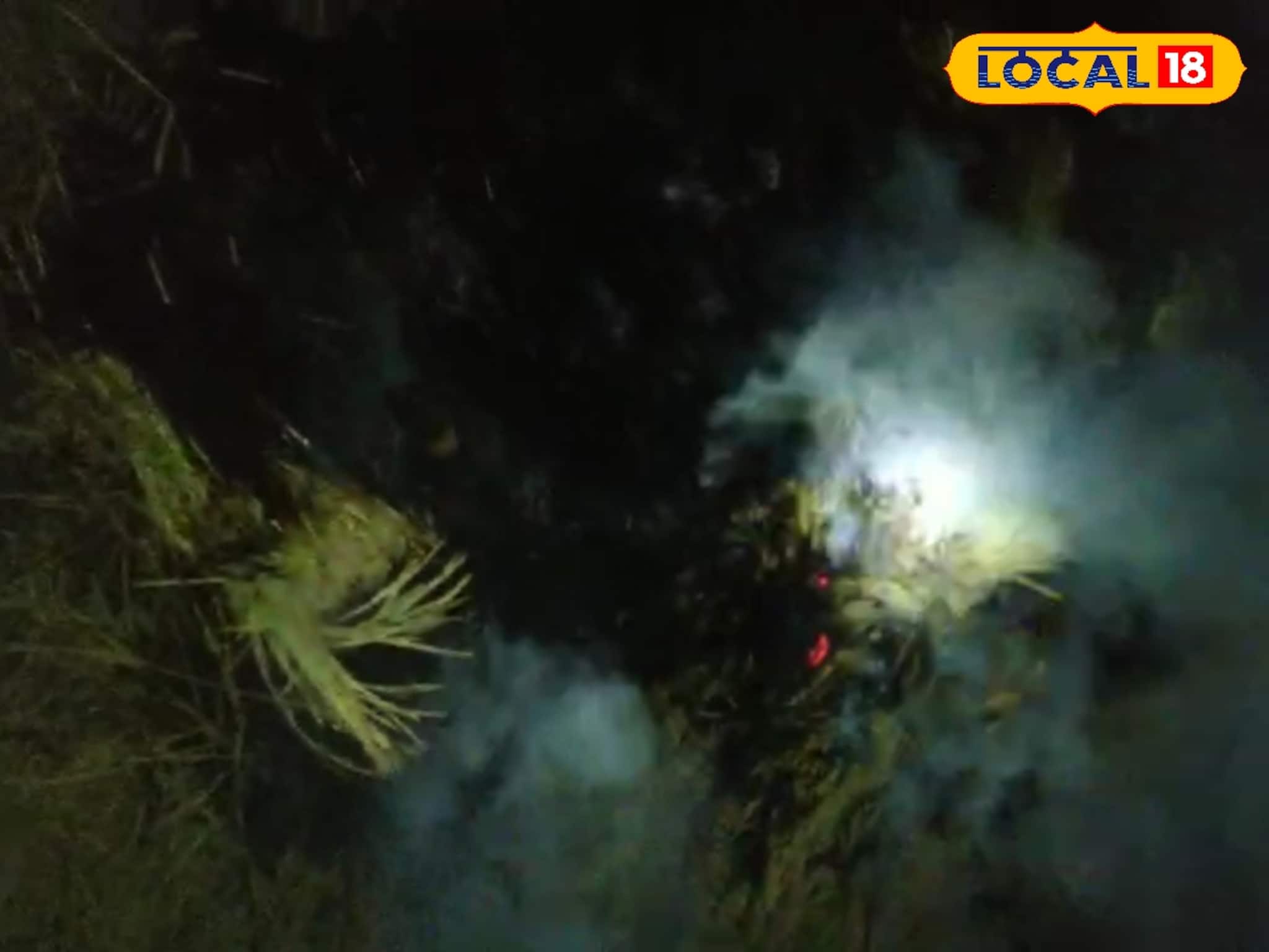 'পাকা ধানে মই' দিল দুষ্কৃতীরা! কেটে রাখা ফসলে আগুন, ছাই হয়ে গেল সব