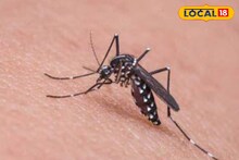 Dengue Fear: পুজোর মরশুম কাটতেই বাড়বাড়ন্ত ডেঙ্গির, আবারও শীর্ষে উত্তর ২৪ পরগনা! ভয় ধরাচ্ছে