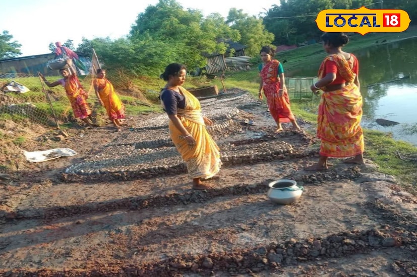 এই নারীরা নিজেরাই সুন্দরবনের বিভিন্ন খাঁড়ি ও বাদাবন থেকে ম্যানগ্রোভের বীজ সংগ্রহ করেন। এরপর সেগুলি বাড়িতে এনে যত্নসহকারে ম্যানগ্রোভের চারা তৈরি করেন। বাড়ির উঠোনেই গড়ে তোলেন ছোট ছোট নার্সারি, যেখানে ধীরে ধীরে গজিয়ে ওঠে হাজারও চারা গাছ। গরান, কেওড়া, হেতাল, কাকড়া, সুন্দরী- এমন নানা প্রজাতির ম্যানগ্রোভ গাছ তাঁদের হাতে নতুন জীবন পায়।
