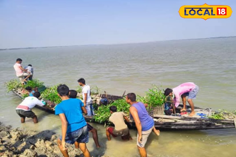 আজ সুন্দরবনের এই সবুজ সৈনিকদের হাত ধরে যেমন ম্যানগ্রোভের অরণ্য ঘন হচ্ছে, তেমনই তাঁদের সংসারও পাচ্ছে নতুন স্থিতি। ম্যানগ্রোভ চারা তৈরি করে তাঁরা কেবল জীবিকা অর্জন করছেন না, বরং নিজেদের ভবিষ্যৎ সুরক্ষার বীজও বুনছেন, যেখানে প্রকৃতি ও মানুষের সহাবস্থানই মূল শক্তি। (ছবি ও তথ্যঃ জুলফিকার মোল্যা)
