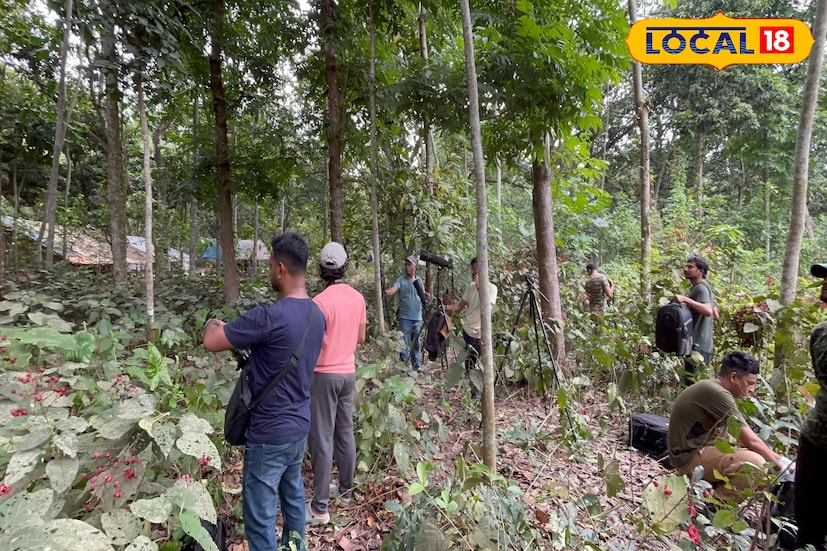এবারে ছাড়িগঙ্গায় কচুরিপানাও পরিষ্কার হয়ে গিয়েছে। স্থানীয় নৌকা মাঝিদের উদ্যোগে পরিষ্কার-পরিচ্ছন্ন পরিবেশ তৈরি হওয়ায় আশা করা হচ্ছে, আগের বছরের তুলনায় এবারে পাখির সংখ্যা আরও বাড়বে। ফলে চিত্রগ্রাহকদের ভিড়ও হবে আরও বেশি। (তথ্য ও ছবি: বনোয়ারীলাল চৌধুরী)
