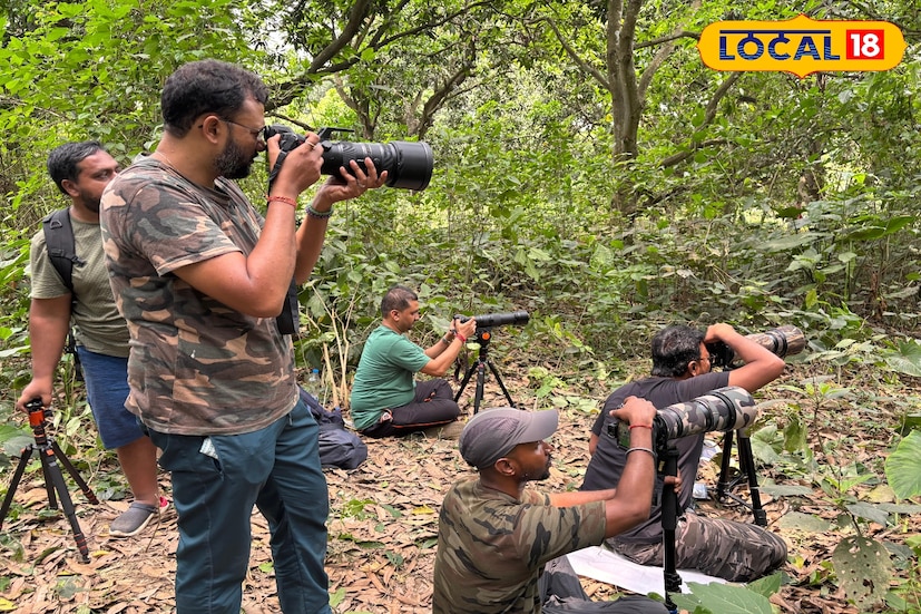অস্প্রে, গাডওয়াল, রেড ক্রেস্টেড প্রচার্ড-সহ নানা প্রজাতির পরিযায়ী পাখির দেখা মেলে এই চুপি পাখিরালয়ে। জলাশয়ের ধারে বা ছাড়িগঙ্গার মাঝেই এক নজরে ধরা পড়ে তাদের রঙিন পালক ও চমকপ্রদ উড়ান।