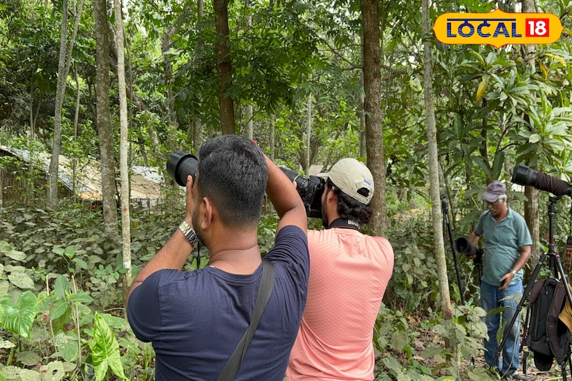 চুপির ছাড়িগঙ্গায় নৌকায় চেপে ঘুরে ঘুরে পাখিদের ছবি তোলেন চিত্রগ্রাহকরা। কলকাতা-সহ রাজ্যের বিভিন্ন প্রান্ত থেকে আসেন অসংখ্য চিত্রগ্রাহক ও প্রকৃতিপ্রেমী মানুষ। শুধু পেশাদার ফটোগ্রাফারই নন, অনেকে শখের বসেও চলে আসেন এখানে পাখিদের মুহূর্ত বন্দি করতে।