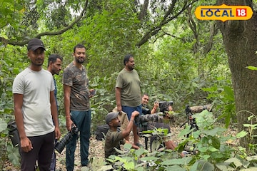 শীত পড়লেই পূর্বস্থলীর চুপি পাখিরালয়ে চিত্রগ্রাহকদের ভিড়, রঙবেরঙের পরিযায়ী পাখির মেলা শীত পড়লেই পূর্বস্থলীর চুপি পাখিরালয়ে চিত্রগ্রাহকদের ভিড়, রঙবেরঙের পরিযায়ী পাখির মেলা