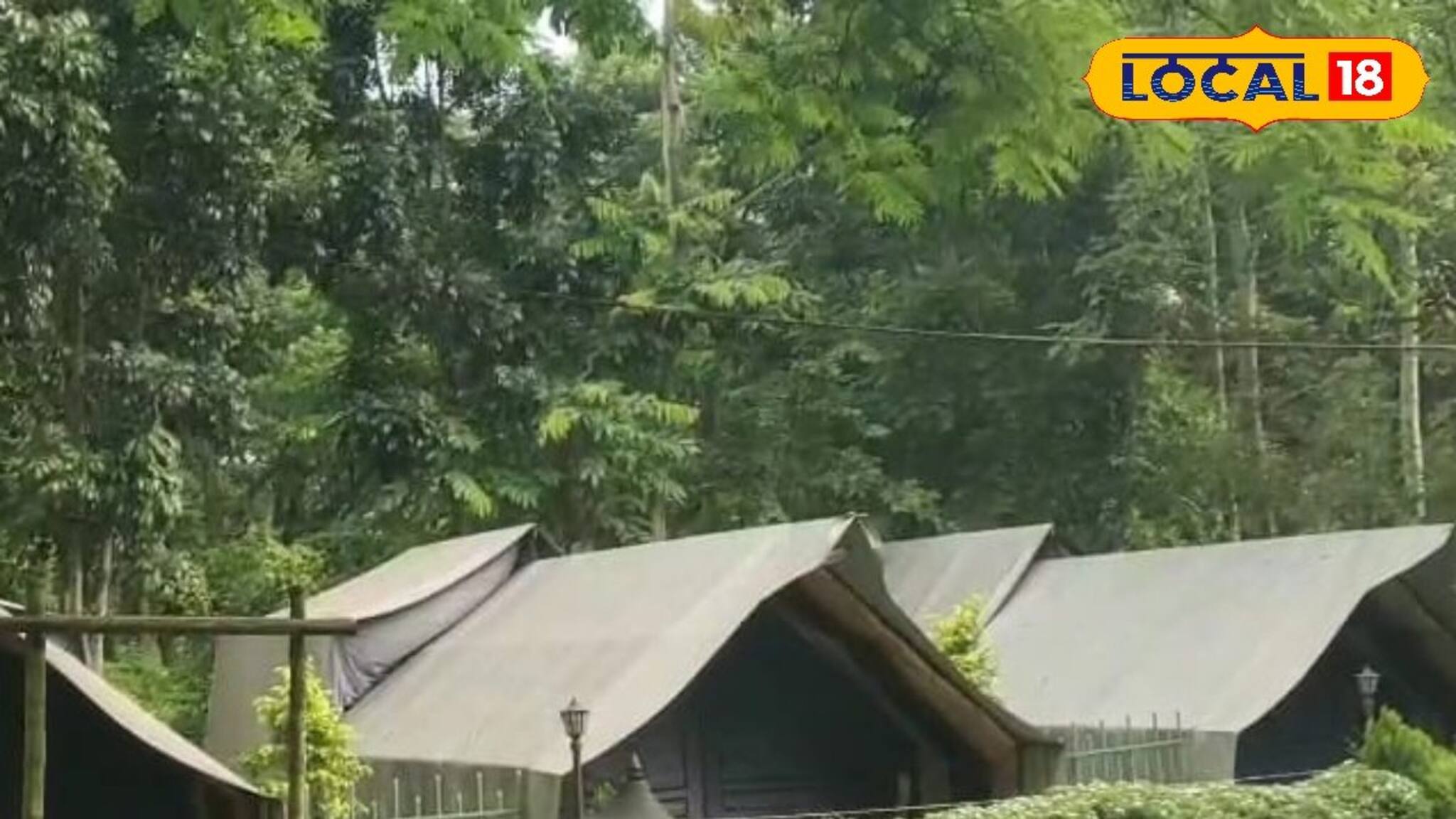 আমেরিকার মতো জঙ্গলের মধ্যে টেন্টে কাটান একরাত! চিলাপাতায় চূড়ান্ত অ্যাডভেঞ্চার, না গেলে মিস