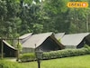আমেরিকার মতো জঙ্গলের মধ্যে টেন্টে কাটান একরাত! চিলাপাতায় চূড়ান্ত অ্যাডভেঞ্চার, না গেলে মিস