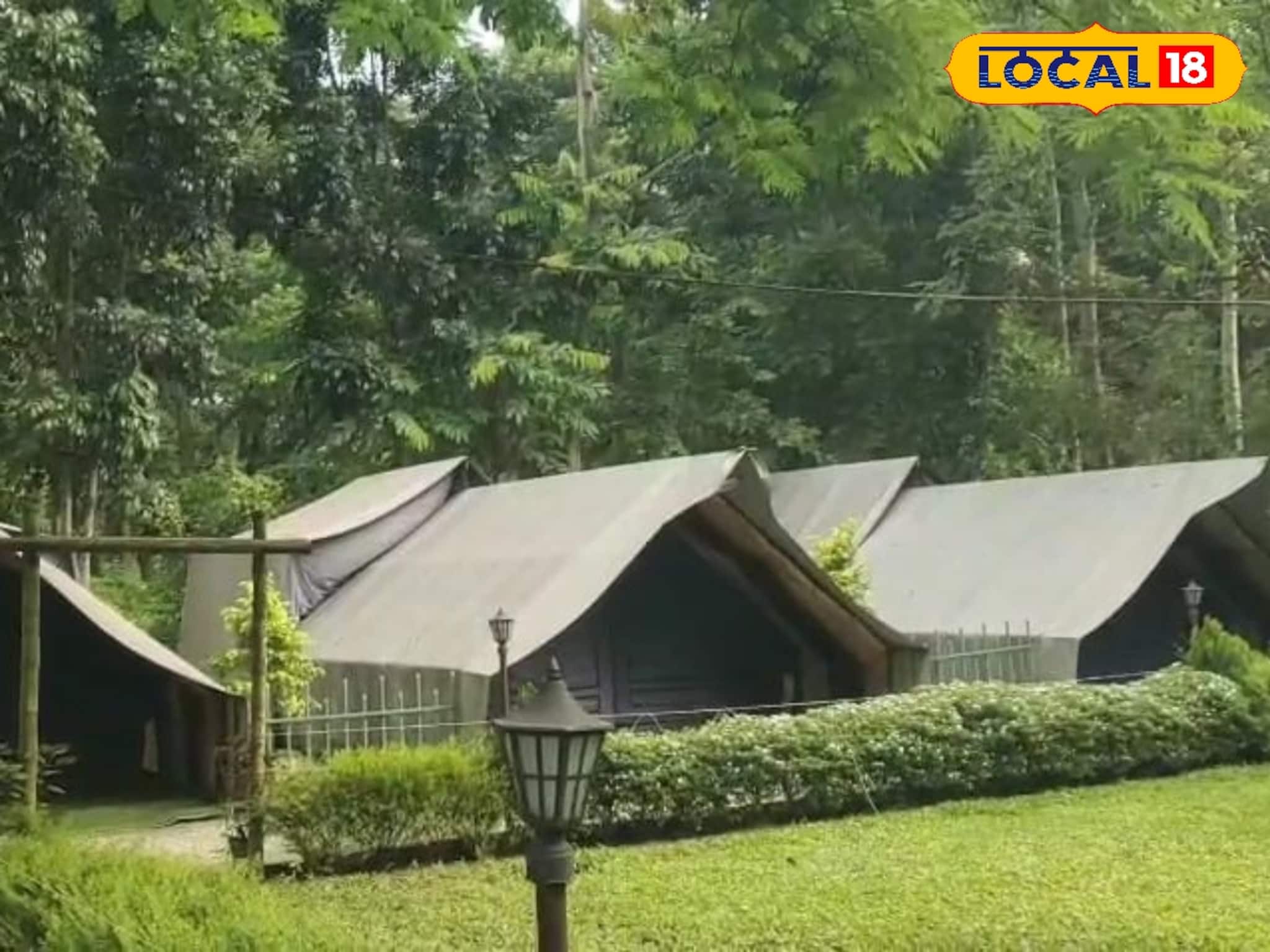 আমেরিকার মতো জঙ্গলের মধ্যে টেন্টে কাটান একরাত! চিলাপাতায় চূড়ান্ত অ্যাডভেঞ্চার, না গেলে মিস