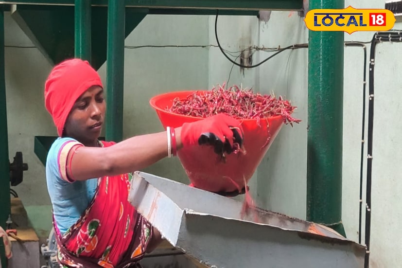 লঙ্কা গুঁড়ো, জিরে গুঁড়ো এবং আরও বহু মশলা তৈরি হলেও দেখুন কীভাবে তৈরি হচ্ছে অর্গানিক হলুদের মশলা। বাঁকুড়ার ঝাঁটিপাহাড়িতে অবস্থিত গুঁড়ো মশলার এই কারখানার কর্ণধার চিরাগ ডালমিয়া ঘুরে দেখলেন পুরো ফেসিলিটিটি।