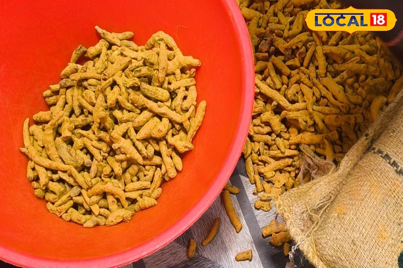 জৈব মশলা তৈরি করার একটা পদ্ধতি রয়েছে, এই পদ্ধতিগুলিতে যতগুলি ধাপ রয়েছে ,কোনও ধাপেই ব্যবহার করা হয় না কেমিক্যাল। প্রথমে কাঁচা হলুদ তুলে রোদে শুকিয়ে, ডিসইন্টিগ্রেটরে গুঁড়ো করা হয়। তারপর মেশিন পিষে চেলে নেওয়া হয়। এরপর শুরু হয় প্যাকেজিং।