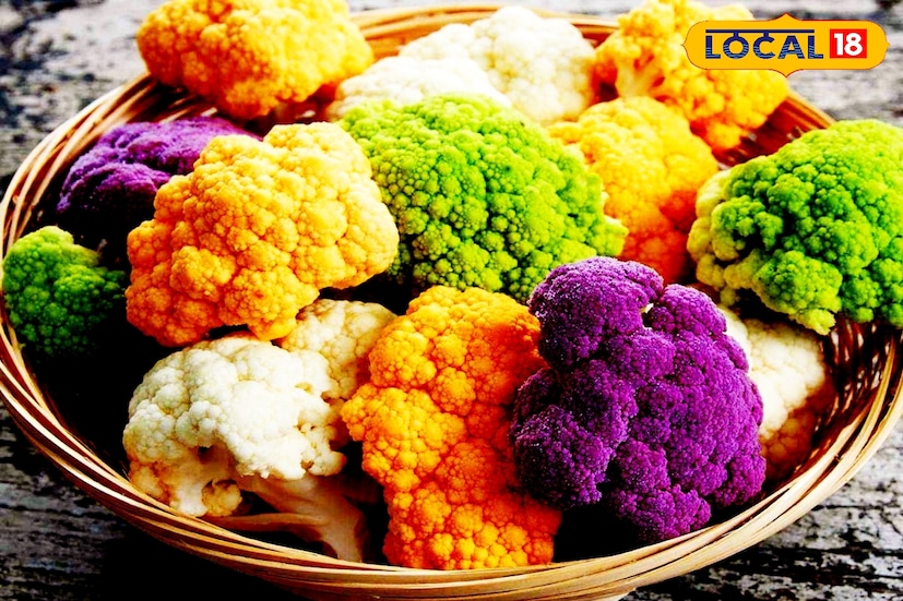 বিশেষজ্ঞদের মতে, রঙিন ফুলকপিতে অ্যান্টিঅক্সিডেন্ট ও ভিটামিনের পরিমাণ বেশি, যা স্বাস্থ্যের জন্যও উপকারী। ফলে বাজারে এর জনপ্রিয়তা আরও বাড়বে বলে ধারণা করা হচ্ছে। 