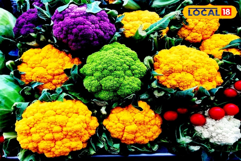 চাষের ক্ষেত্রেও দেখা যাচ্ছে নতুনত্ব। অনেক কৃষক একই জমিতে রঙিন ফুলকপির পাশাপাশি ব্রকলি, বাঁধাকপি, সাধারণ ফুলকপি ও টমেটোর মতো অন্যান্য সবজিও চাষ করছেন, যাতে জমির সর্বোচ্চ ব্যবহার ও আয়ের বৈচিত্র্য বজায় থাকে। 