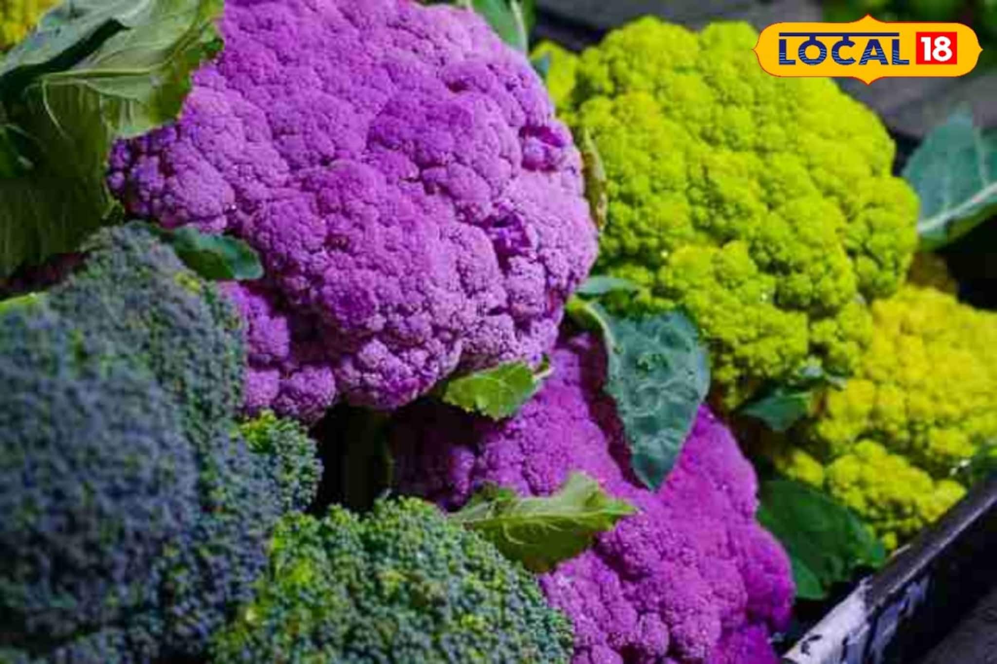 বাজারে বিরাট চাহিদা, রঙিন ফুলকপি চাষের বিশেষ পদ্ধতি দেখালেন কৃষি বিজ্ঞানীরা