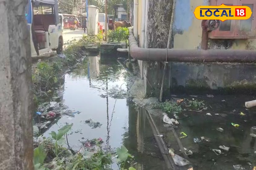 আলিপুরদুয়ার, অনন্যা দে : এবারে জেলা হাসপাতালে গিয়ে নাকে রুমাল চাপা দিতে হবে না আপনাকে। আবর্জনা দেখে গা গুলিয়ে ওঠার সম্ভাবনা কমবে।জেলা হাসপাতালে নিকাশি নিয়ে মাস্টার প্ল্যান তৈরি হয়েছে।শুরু হয়েছে কাজ। 