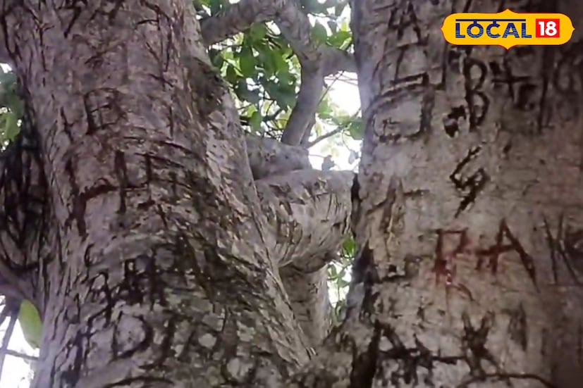 *এখানকার অন্যতম আকর্ষণ পুরনো সেই বটগাছ, যার কাণ্ডে খোদাই হয়ে আছে অসংখ্য যুগলের প্রেমের স্মৃতি। নামের আদ্যক্ষর, তারিখ, ছোট্ট প্রতীক—সব মিলিয়ে বটগাছটি যেন দাঁড়িয়ে আছে প্রেমের নিঃশব্দ সাক্ষী হয়ে।