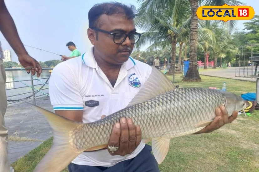 প্রতিযোগিতায় ছিল বিশেষ নিয়মাবলি। প্রতি প্রতিযোগী ব্যবহার করেন দুটি ছিপ। মাছ ধরেই ওজন করে সঙ্গে সঙ্গে জলে ছেড়ে দেওয়া হয়। প্রতি ছিপে সর্বোচ্চ ৬টি কাঁটা ব্যবহার করার অনুমতি ছিল। কাঁটার সাইজে কোনো বাধ্যবাধকতা নেই। তবে চলতি হাতছিপের ব্যবহার ছিল সম্পূর্ণ নিষিদ্ধ। চার-মসলা, চাতু, আটা, পাউরুটির টোপ ব্যবহার করা হয়