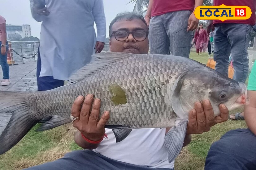 উত্তর ২৪ পরগনা, রুদ্র নারায়ণ রায়: কলকাতা ইকোপার্কের ঝিলে ছুটির দিনের সকালে ভিড় জমল মাছ ধরার এক অভিনব প্রতিযোগিতাকে কেন্দ্র করে। বেঙ্গল অ্যাঙ্গলারস ফোরামের উদ্যোগে আয়োজিত এই বিশেষ ক্যাচ অ্যান্ড রিলিজ ফিশিং ইভেন্টে উত্তর ২৪ পরগনা, রুদ্র নারায়ণ রায়: কলকাতা ইকোপার্কের ঝিলে ছুটির দিনের সকালে ভিড় জমল মাছ ধরার এক অভিনব প্রতিযোগিতাকে কেন্দ্র করে। বেঙ্গল অ্যাঙ্গলারস ফোরামের উদ্যোগে আয়োজিত এই বিশেষ ক্যাচ অ্যান্ড রিলিজ ফিশিং ইভেন্টে