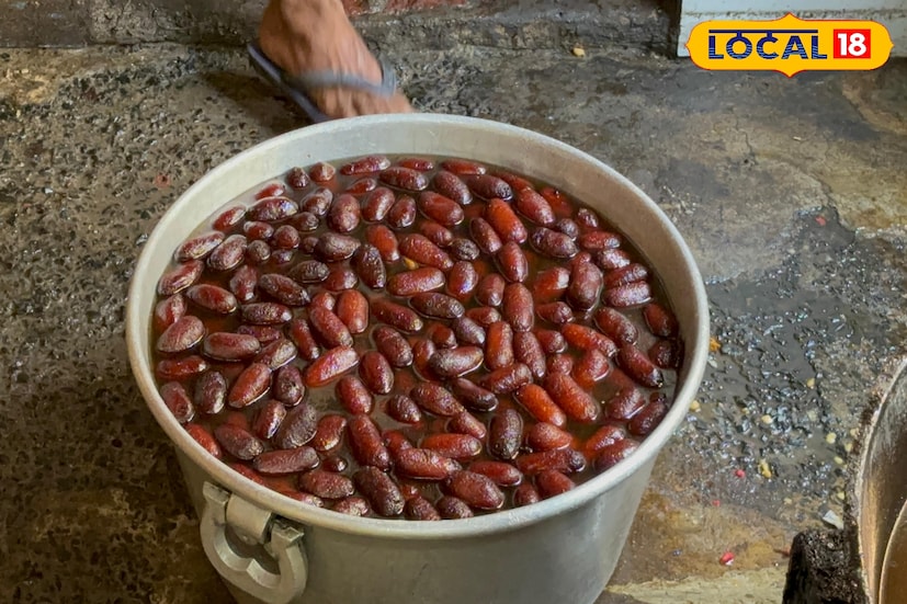 ভিন রাজ্য থেকেও প্রতিবছর কার্তিক লড়াই দেখতে বহু মানুষ আসেন কাটোয়ায়। এই শহরের দুটো মিষ্টিও খুব জনপ্রিয়।