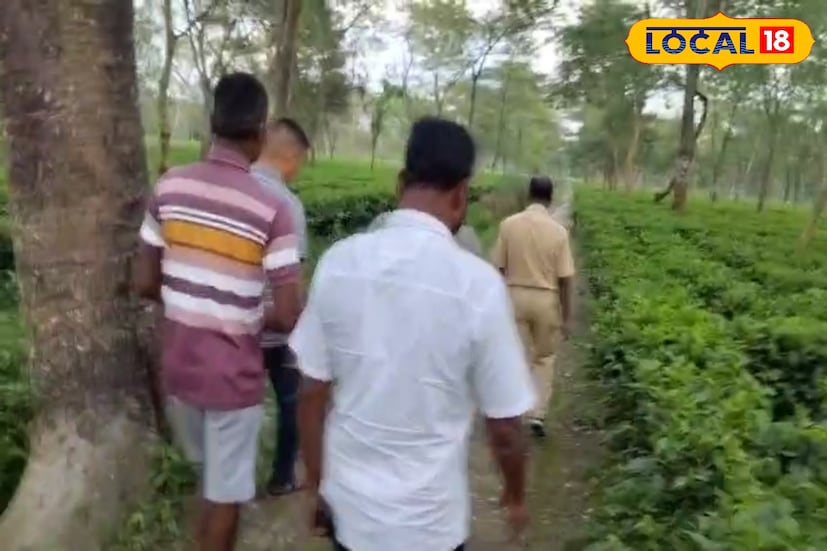 চিলাপাতা রেঞ্জের বনকর্মীদের পক্ষ থেকে ওই এলাকায় টহলদারি চলছে। আবার নতুন করে অনেক জায়গায় খাঁচা বসানো হচ্ছে। গ্রামবাসী রাজেন এক্কা জানান, 