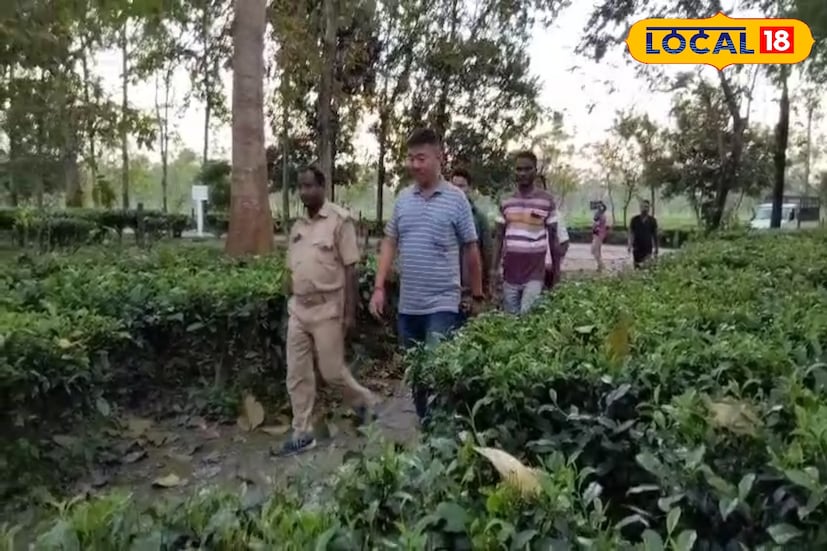 প্রতিনিয়ত চা বাগানে লেপার্ড দেখতে পাচ্ছেন গ্রামবাসীরা। এর আগে মথুরা চা বাগান থেকে ৩টি লেপার্ডকে উদ্ধার করেন বন কর্মীরা। এবার শীত পড়তেই ভাল্লুক দেখা যাচ্ছে। 