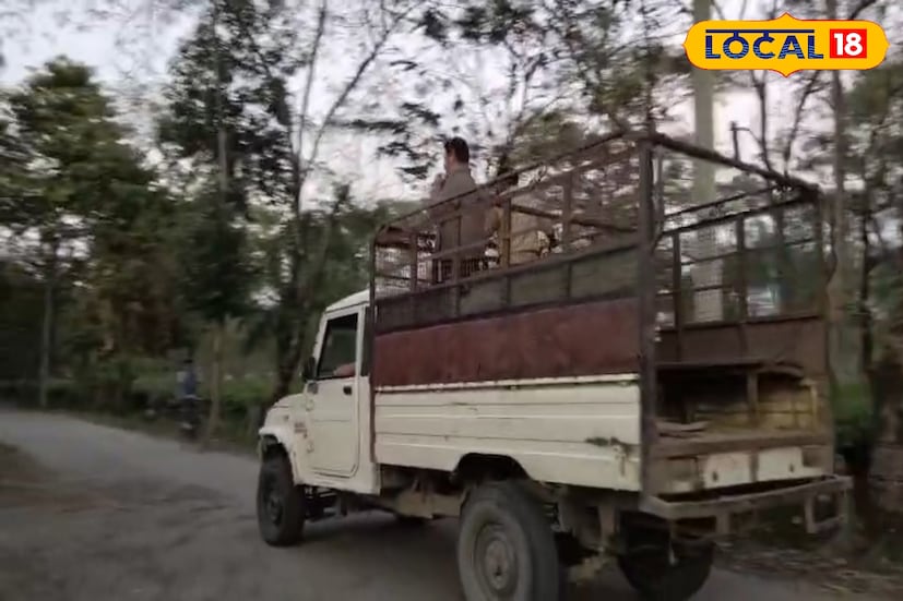 মথুরা চা বাগানে লেপার্ডের আতঙ্ক আগেই ছড়িয়েছিল। ইতিমধ্যেই এলাকায় ২টি লেপার্ডের শাবক দেখা গিয়েছে। চা শ্রমিক সহ স্থানীয় বাসিন্দারা আতঙ্কে রয়েছেন। মথুরা চা-বাগানের আউট ডিভিশনের ঘটনা এটি।