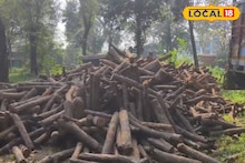 Bankura News: বাঁকুড়ায় যেন ঠিক সিনেমার দৃশ্য! জয়পুরের ঘন জঙ্গলে যা ঘটল, বিরাট সাফল্য বন দফতরের!