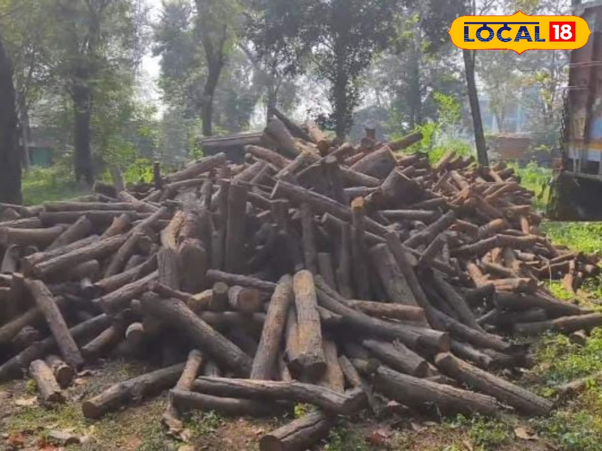 Bankura News: বাঁকুড়ায় যেন ঠিক সিনেমার দৃশ্য! জয়পুরের ঘন জঙ্গলে যা ঘটল, বিরাট সাফল্য বন দফতরের!