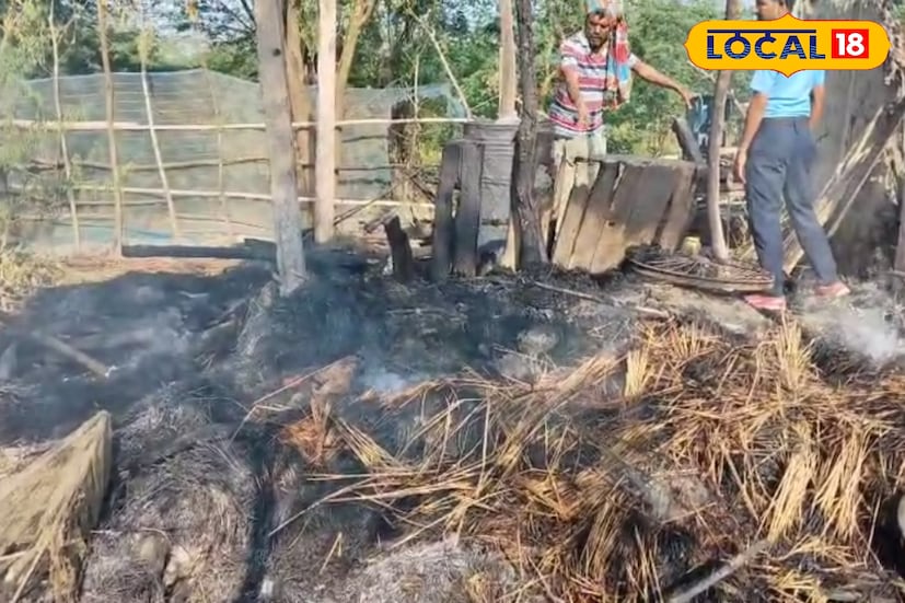 ঘটনায় বিধান মণ্ডল বলেন, “হঠাৎই মিটারের পাশ থেকে আগুন বেরোতে দেখি। সম্ভবত শর্ট সার্কিট থেকেই এই বিপত্তি। কিছু বুঝে ওঠার আগেই সব পুড়ে গেল। পরিবার এখন সম্পূর্ণ অসহায় অবস্থায়।”