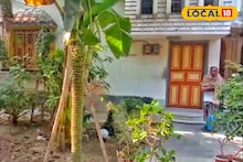 7 Feet Kalar Kandi: কলা গাছের থেকেও বড় কলার কাঁদি! ৭ ফুটের কলার কাঁদিতে ১০০০ কলা, রইল ফটো