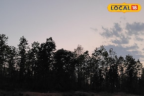 Weather Change Update: পূূবালি হাওয়া হু হু করে ঢুকছে বাংলায়, বদলে গেল আবহাওয়ার খেলা