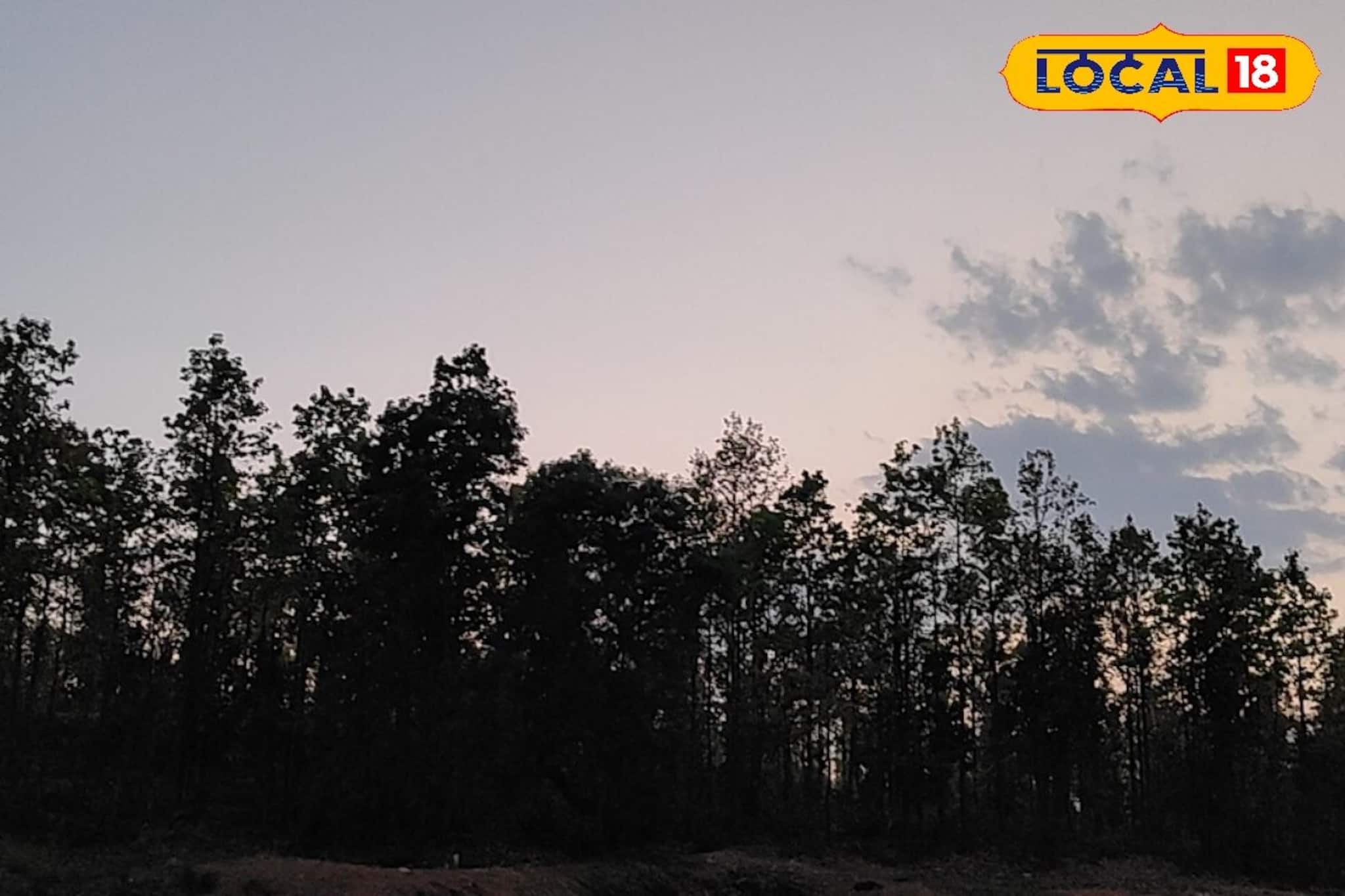 Weather Change Update: পূূবালি হাওয়া হু হু করে ঢুকছে বাংলায়, বদলে গেল আবহাওয়ার খেলা, রইল ওয়েদার অ্যালার্ট