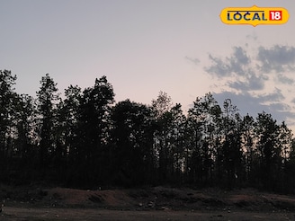 Weather Change Update: পূূবালি হাওয়া হু হু করে ঢুকছে বাংলায়, বদলে গেল আবহাওয়ার খেলা