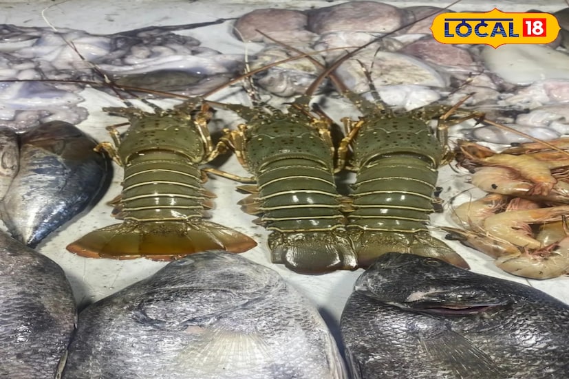 শুধু এই রাজ্য নয় এখান থেকে মাছ যায় অসম, ত্রিপুরা, মহারাষ্ট্র, কেরল-সহ বিভিন্ন রাজ্যে। এছাড়াও প্রসেসিংয়ের পর প্যাকেটজাত চিংড়ি, পমফ্রেট, স্কুইড ইত্যাদি রফতানি করা হয় চীন, আমেরিকা ও ইউরোপের দেশগুলিতেও।