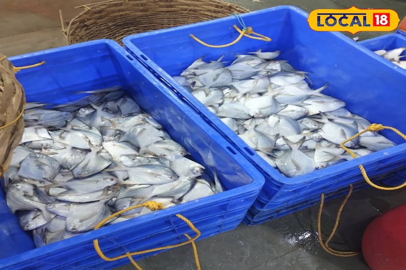 এখানে পমফ্রেট ৫০০-৭০০ টাকা কেজি, গলদা ১০০০ টাকা ছোট চিংড়ি ৫০০ টাকা, কাঁকড়া ৪০০ টাকা প্রতি কেজিতে পেয়ে যাবেন। খুবই সস্তাতে এবং ভাল মাছ পাবেন আপনি। এই বাজার শুধু মাছের জন্যই বিখ্যাত।