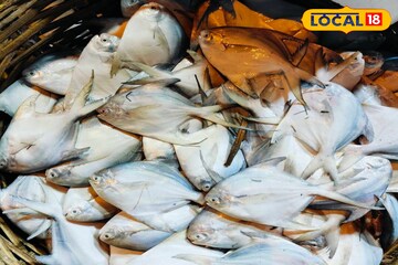 গলদা চিংড়ি, ইলিশ, পমফ্রেট থেকে ম্যাকারেল! ডায়মন্ড হারবার এলে আসুন বিশ্বসেরা মাছবাজারে!