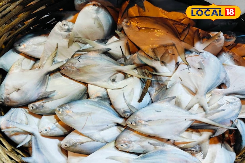 ডায়মন্ডহারবার, দক্ষিণ ২৪ পরগনা, নবাব মল্লিক: এই শীতে ডায়মন্ডহারবার গেলে ডেস্টিনেশানে রাখুন নগেন্দ্রবাজার। বর্ষায় অনেকেই এখানে আসেন ইলিশ কিনতে। কিন্তু বর্ষা ছাড়াও সারাবছর এখানে সামুদ্রিক মাছ ও চিংড়ি পাওয়া যায়। ছবি ও তথ্য: নবাব মল্লিক