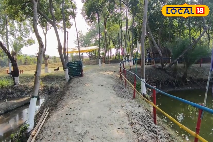 টাকির পাশাপাশি শহরের খুব কাছে থাকা সত্ত্বেও এক নতুন মনোরম ঠিকানায় পরিণত হয়েছে ইছামতির ধারের হংকং উদ্যান। সাজানো লন, ছায়াময় বসার জায়গা, নদীর সান্নিধ্য এবং পরিষ্কার–পরিচ্ছন্ন পরিবেশের জন্য এই স্পট দ্রুতই জনপ্রিয়তার শীর্ষে উঠে এসেছে। কলকাতা থেকে স্বল্প দূরত্বেই এমন নদীপাড়ের পরিবেশ পেয়ে অনেকে এখন এটাই বেছে নিচ্ছেন শীতের দিনের পিকনিকের জন্য।