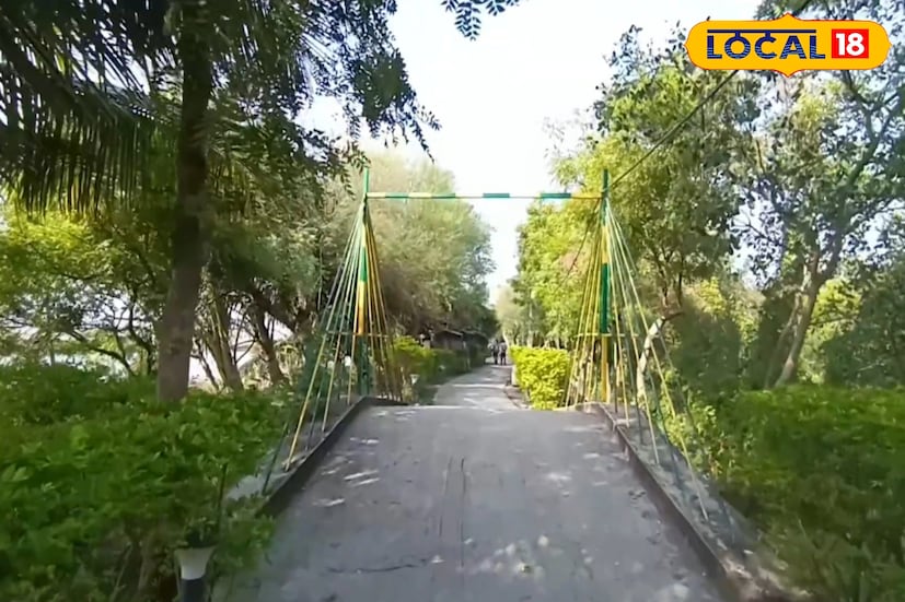 ইতিহাসপ্রেমী ভ্রমণকারীদের কাছে অনন্য আকর্ষণ ধান্যকুড়িয়া রাজবাড়ি ও তার আশপাশ। জমিদার আমলের দুর্লভ স্থাপত্য, প্রাচীন ভবন, খোলা মাঠ—সব মিলিয়ে ধান্যকুড়িয়া শুধু পিকনিকের নয়, ইতিহাস জানারও এক অপূর্ব জায়গা। কলকাতা থেকে কাছেই হওয়ায় সপ্তাহান্তে বহু মানুষ এখানে এসে দিন কাটান।