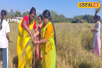 আলিপুরদুয়ার জেলা পরিষদের সভাধিপতি ধান কাটলেন জমিতে! প্রশংসায় পঞ্চমুখ স্থানীয়রা আলিপুরদুয়ার জেলা পরিষদের সভাধিপতি ধান কাটলেন জমিতে! প্রশংসায় পঞ্চমুখ স্থানীয়রা