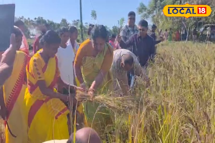 আমন ধানের ক্ষতির থেকে রেহাই দিতে পারে কালো নুনিয়া ধান এবার রোপণ করেছিলেন নিজের বাড়ির সামনে সভাধিপতি। কালচিনি ব্লকের বিভিন্ন এলাকায় রোপণ করা হয় এই ধানের চারা।