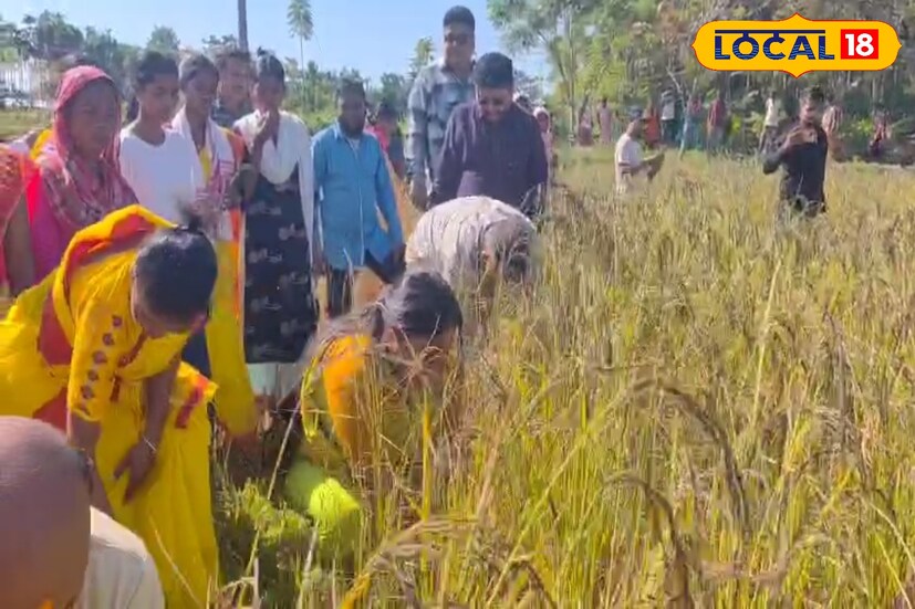 জেলা পরিষদ কার্যালয়ে প্রতিদিন ব্যস্ততার মধ্যে দিন যায় তাঁর। কিন্তু গ্রামের মাটিকে ভুলে যাননি তিনি। তাই তো সাংস্কৃতিক পোশাক পরে মাটির আরও কাছাকাছি চলে যেতে দেখা গেল আলিপুরদুয়ার জেলা পরিষদের সভাধিপতি স্নিগ্ধা শৈবকে। মেচ জনজাতির পোশাকে এদিন ক্ষেতে দেখা গেল জেলা পরিষদের সভাধিপতিকে।