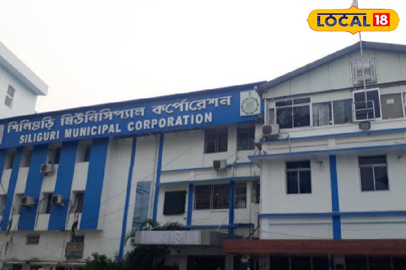 স্মারক গ্রন্থের মাধ্যমে শিলিগুড়ির অতীতের অজানা দলিল উঠে আসবে বলেই আশা করছেন বহু বাসিন্দা। তাঁদের অনেকে ইতিমধ্যেই বাড়িতে সংরক্ষিত পুরনো দলিল বা ঐতিহাসিক ছবি পাঠানো শুরু করেছেন। শিলিগুড়ির দ্রুত পরিবর্তনের ইতিহাস ধরে রাখতে এই উদ্যোগ ভবিষ্যৎ প্রজন্মের কাছে অমূল্য হয়ে উঠবে বলে মনে করছেন ইতিহাস-অনুরাগীরা।